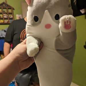 Cat plushies